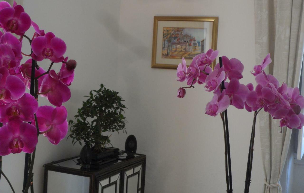 Casa Coimbra Hotel Kültér fotó